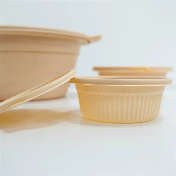 Biodegradable Bowls with Lids - Perfect for Takeout and Delivery (7)