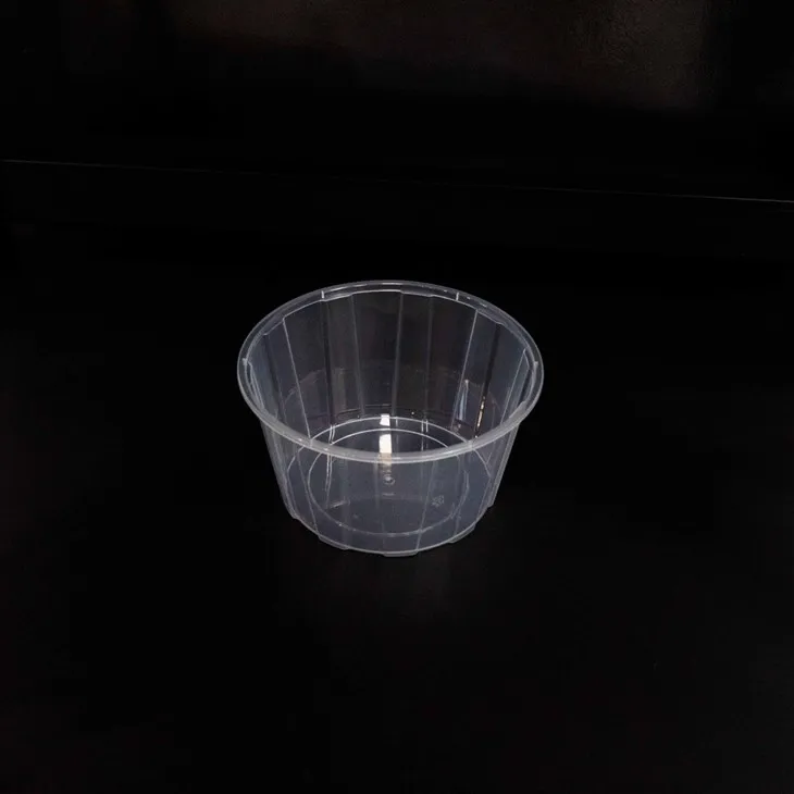 Disposable Plastic Bowls - Hygienic and Convenient (6)