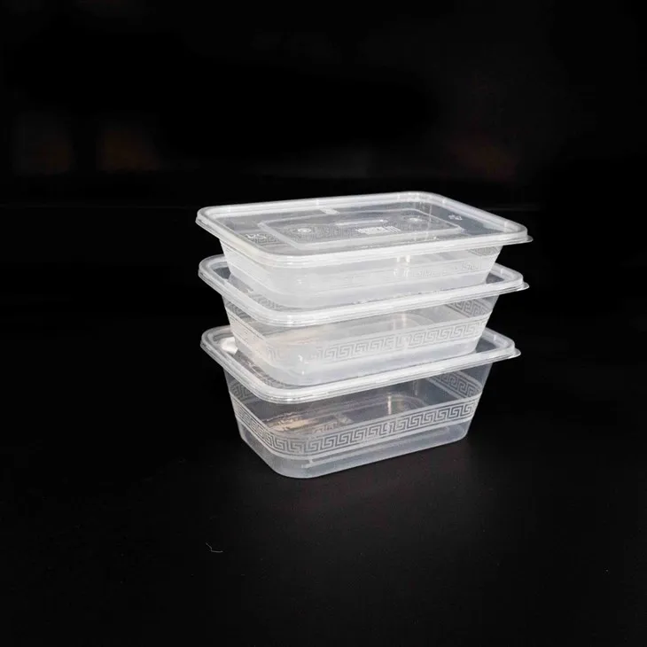 Disposable Plastic Food Boxes - The Choice of Chefs for Convenience (5)