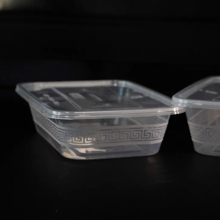 Eco-Friendly Plastic Boxes for Food Storage and Service (3)