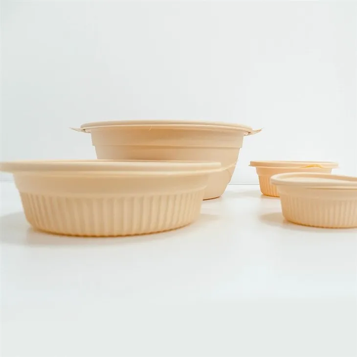 Eco-Responsible Biodegradable Bowls - Perfect for Any Occasion (4)
