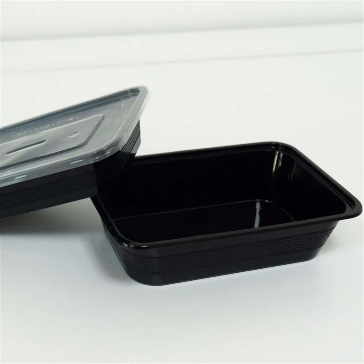 Heat-Resistant Plastic Food Boxes - Designed for All Temperatures (7) Heat-Resistant Plastic Food Boxes - Designed for All Temperatures (7)