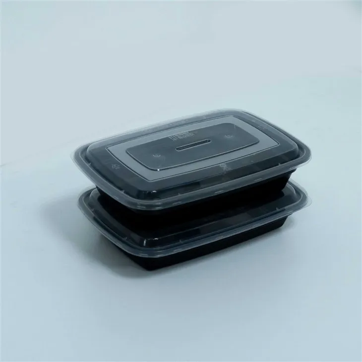Leak-Proof Disposable Lunch Boxes with Lids - Keep Your Food Fresh (1)